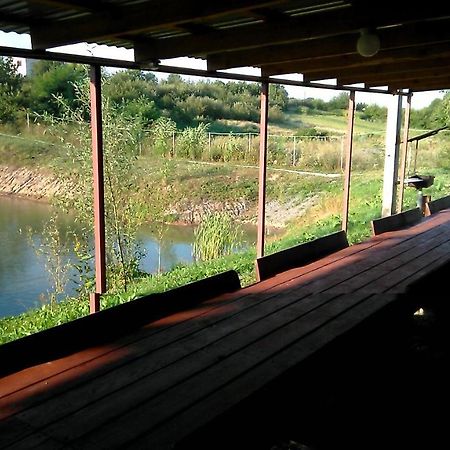 Barbecue House Villa Vinnytsia Bagian luar foto