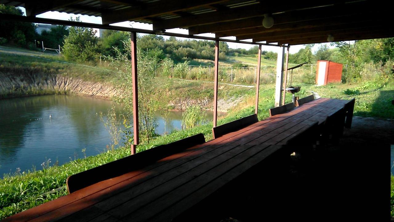 Barbecue House Villa Vinnytsia Bagian luar foto