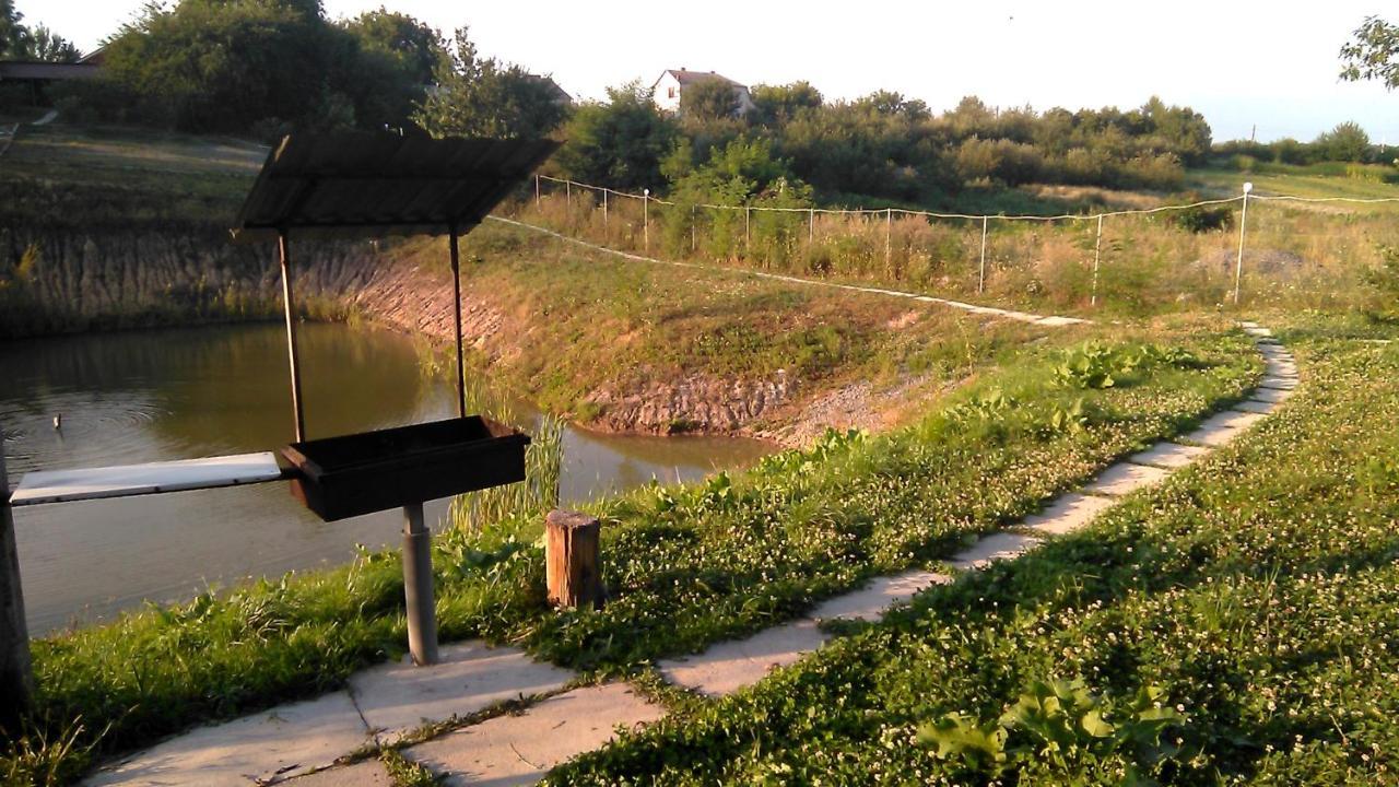 Barbecue House Villa Vinnytsia Bagian luar foto