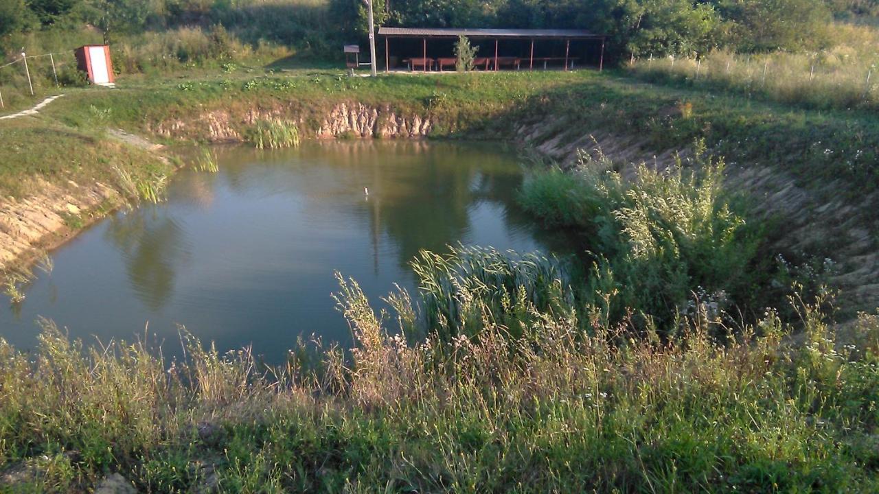 Barbecue House Villa Vinnytsia Bagian luar foto